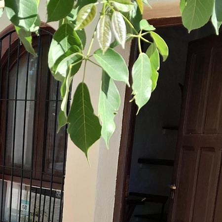 Bed and Breakfast La Montana Cafayate Exterior foto