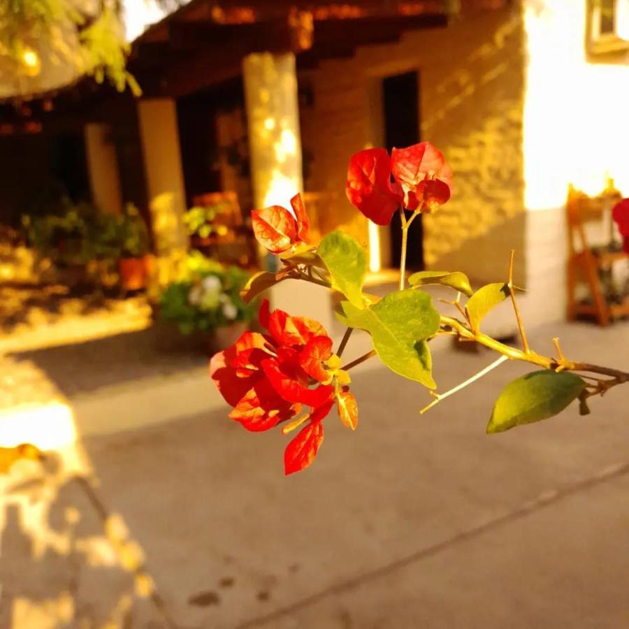 Bed and Breakfast La Montana Cafayate Exterior foto