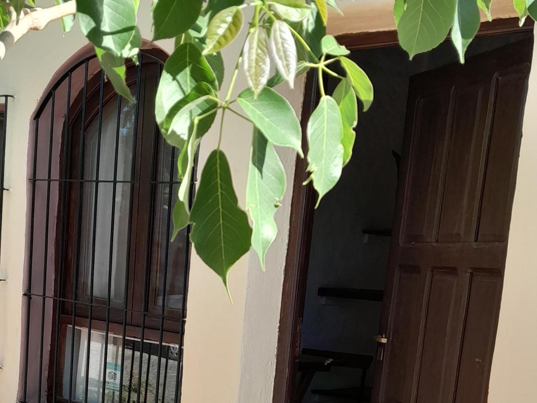 Bed and Breakfast La Montana Cafayate Exterior foto