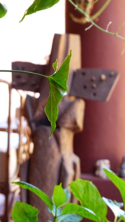 Bed and Breakfast La Montana Cafayate Exterior foto
